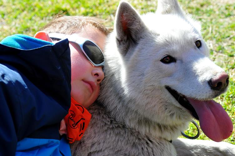 Petit repos en fourrure ! (Nico et Alpine)