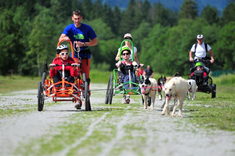 Les chiens sont taillés pour l