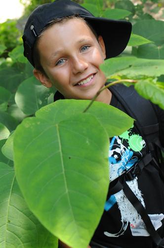 Souriant en ces verts feuillages, Robin !