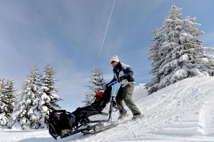 Eliott profite de la promenade pour choisir son prochain sapin de Noel.