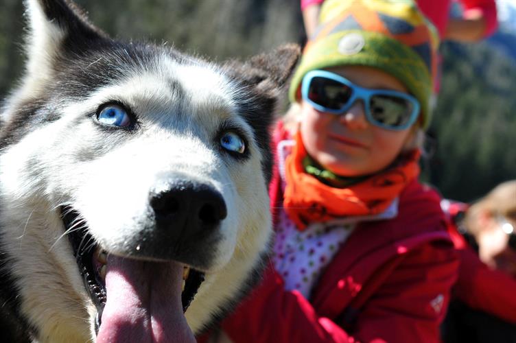 Des compagnons aux regards envouteurs et azuréens !