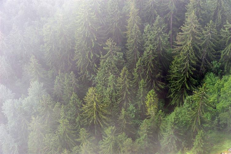 Voilà, il suffit de demander et le brouillard disparaît doucement!