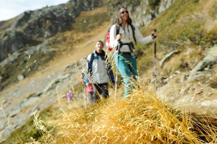 Virée bucolique et alpine dans la bonne humeur ! (Sophia)