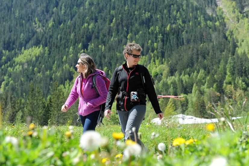 A la découverte de la nature chamoniarde...
