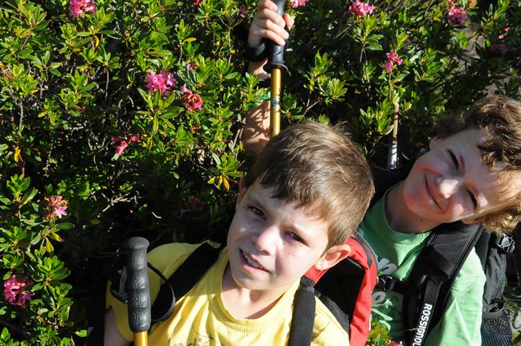 Sébastien et Nicolas, en leur douillet matelas de rhododendrons !