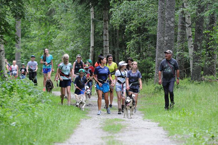 Top départ de la cani-rando !