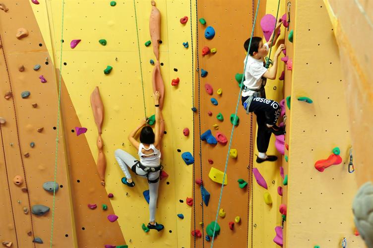 Exploits vertigineux sur tous les murs de notre salle gigantesque ! (Axelle et Hugo)
