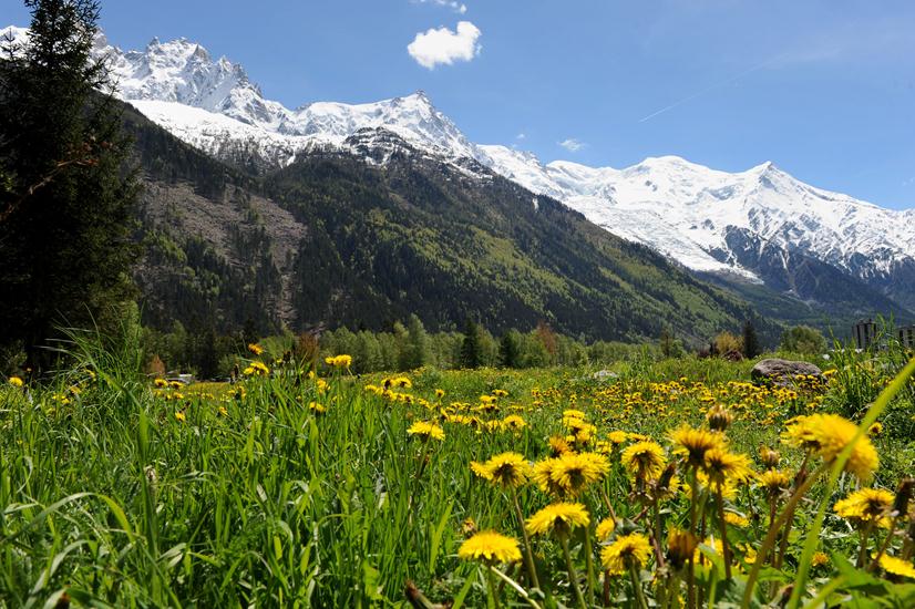 Joli paysage tout de même...