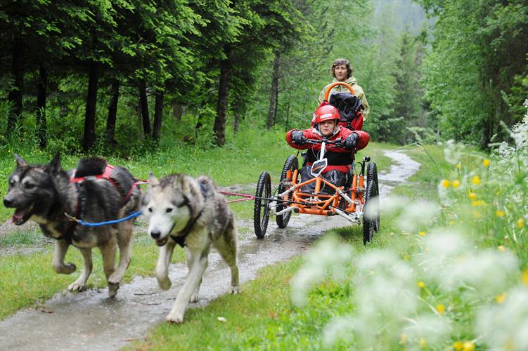 Adam en rêvait de cette virée avec les huskies!