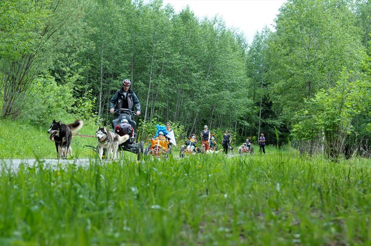 Dans le bois du Bouchet ! A vive allure, mais avec discipline !