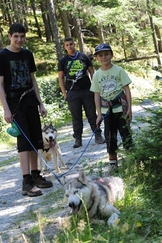 Un trio de mushers tout en muscles et détermination, Nassim, Tom et Nicolas !