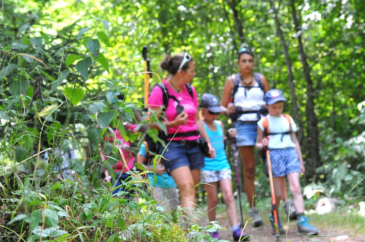 Petit coup de fraîcheur bienvenu en traversant un coin de forêt !