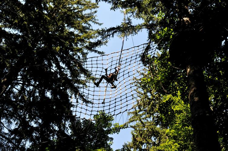 Arrivée tonitruante après la liane de Tarzan !