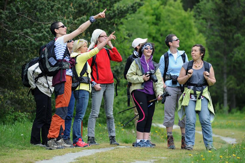 A la découverte des montagnes!