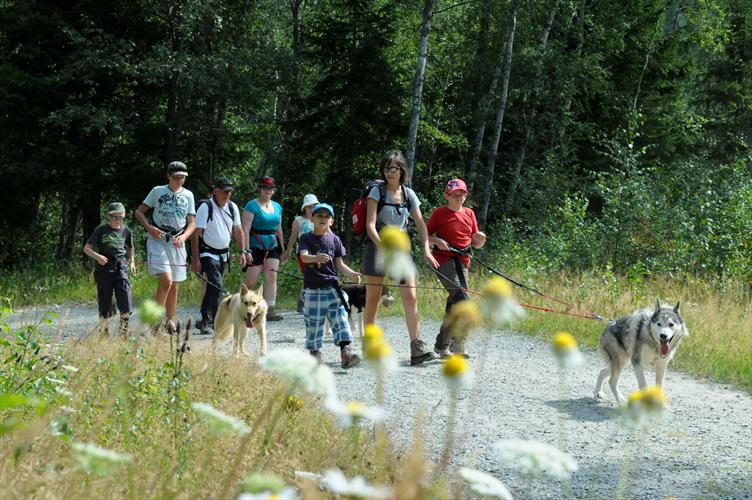 16h ! Nous poursuivons notre promenade, en maîtrisant désormais à fond !