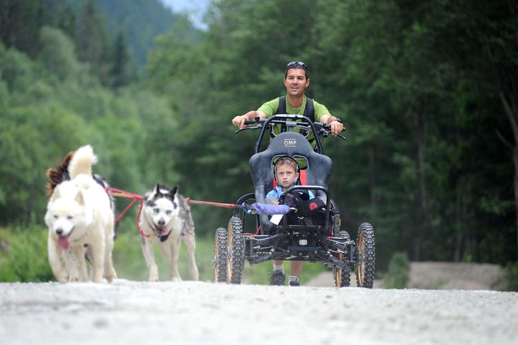 Les huskies sont toujours aussi courageux!