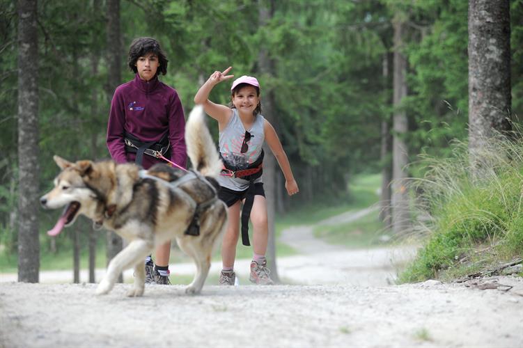 On adore ça la cani-rando!