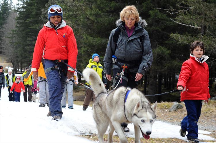 Les chiens aussi ont le droit de jouer dans la neige!