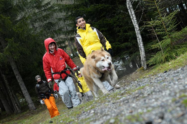 Equipe de super mushers ! Yohan et Nassime !
