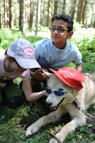 Place aux huskies pour cet après-midi!