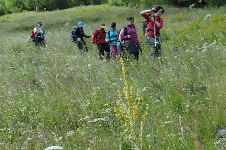 Nous entamons la descente, dans les herbes folles la 1ère cordée s