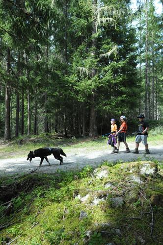 Du mushing de grande classe dans le bois du Bouchet: Tom, Clara, Mathias et Volga !