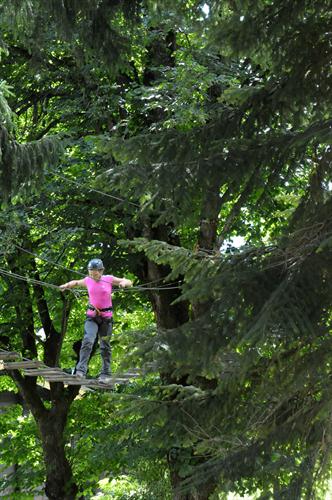 Posée comme une touche picturale sur le vert tableau du parc, la rose et acrobatique Coline !