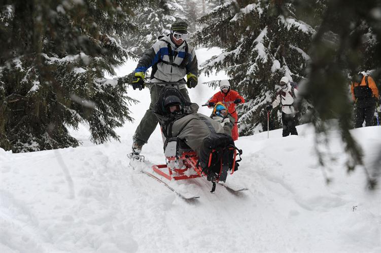 Aventures dans les bois...