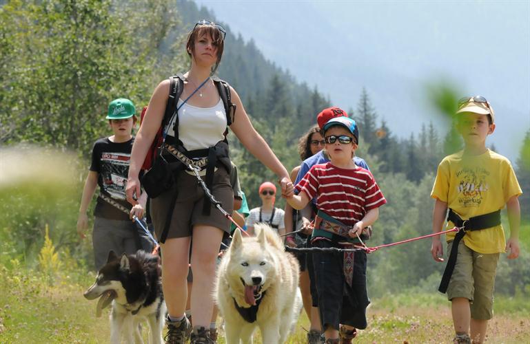 Sous un cagnard bienveillant, nos mushers en herbe à la manoeuvre !