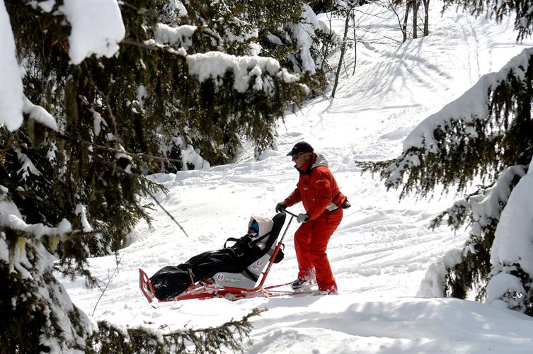 Passage délicat entre les sapins pour Clara !