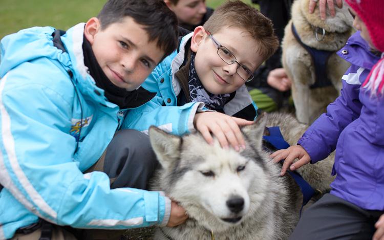 Que de calinous pour un seul petit chien
