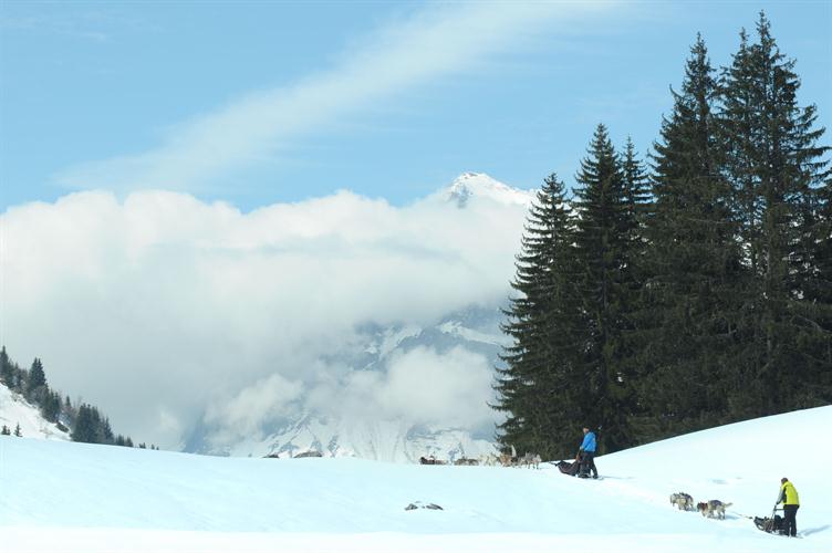 Au loin, le massif du Mont Blanc nous salue !