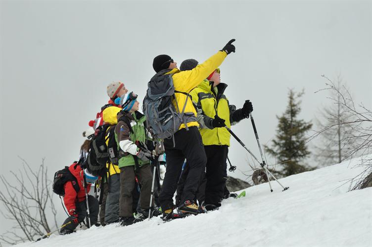 Coup de chance ! Un couple de chamois nous fait l