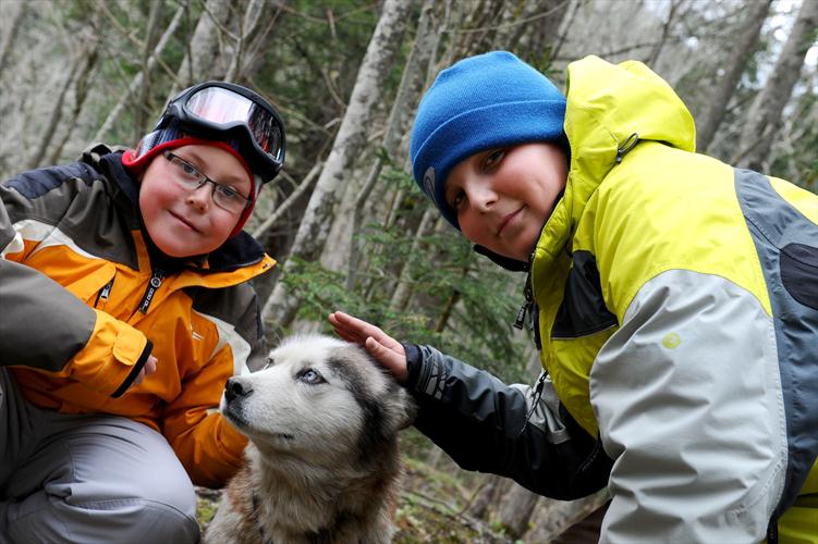 Il vous convient votre husky les garçons?