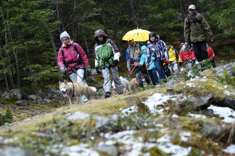 On voit maintenant quelques parapluies fleurir dans les équipages !