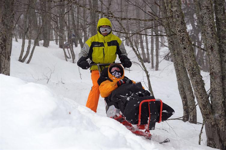Slalom entre les arbres pour Matéo et Titi.