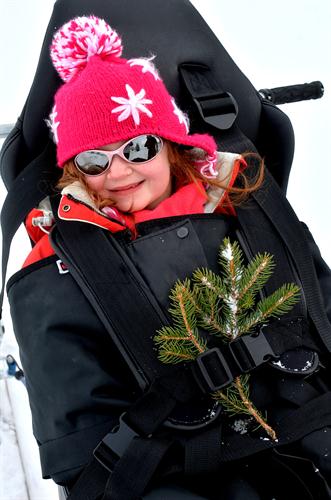 Oh !!! Un joli sapin de Noel !