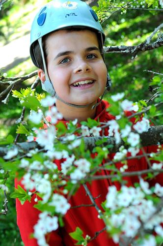 Flower power ! Le sémillant Tom dans le prunier printanier !