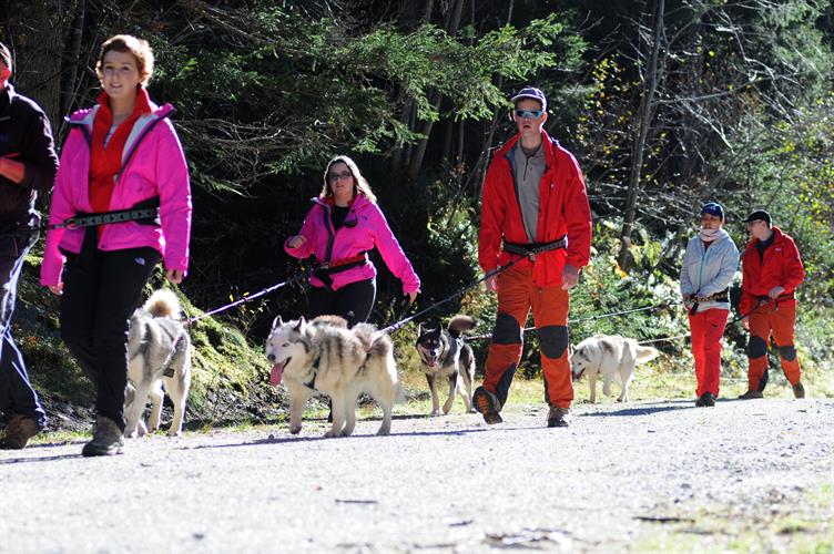 Le peloton continue son chemin dans les bois!
