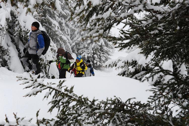 Au troisième sapin à droite, c
