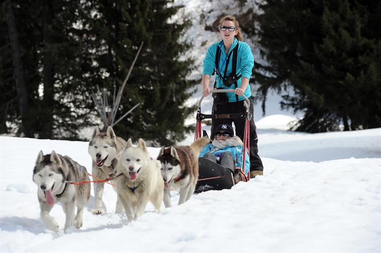 Vos huskies sont mal élévés les filles, ils me tirent tous la langue pour la photo!