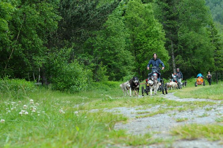 Chacun maîtrise désormais à merveille son engin et les ordres à dispenser aux chiens !