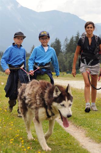 Quelle force ils ont ces huskies!
