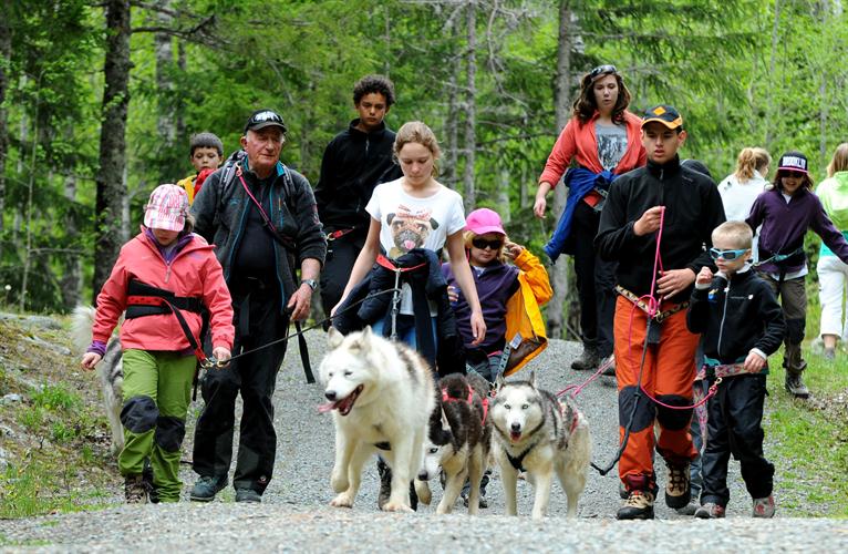 Que du bonheur ! Entraînés par nos amis les huskies, c