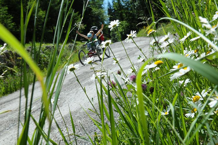 Descente florale et ultra joyeuse ! (Jean et rébecca)