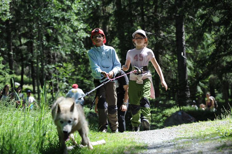 Quel courage chez ces animaux...