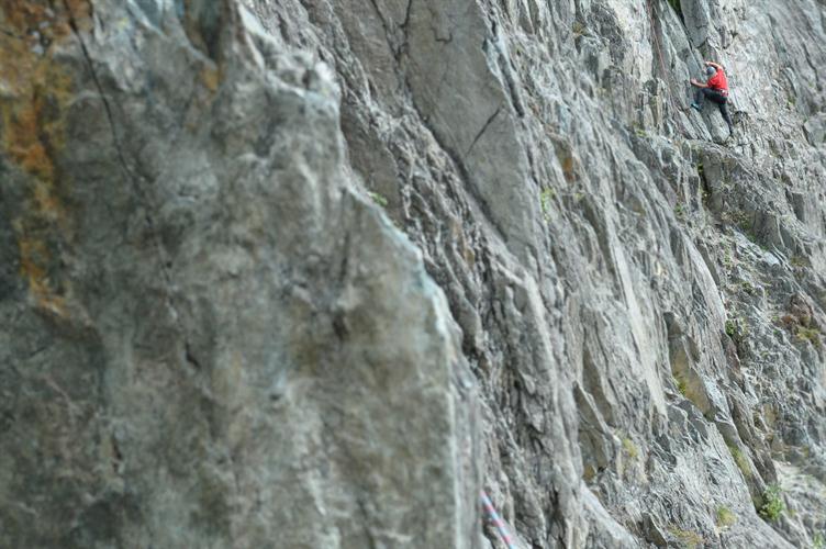 Triomphant courageusement du géant de granit, le valeureux William !