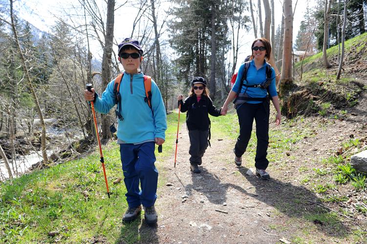 Premiers pas dans la forêt..