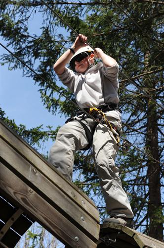 Un petit tour en accrobranche!