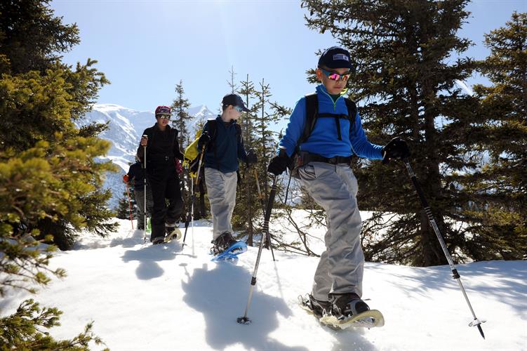 Slalom entre les sapins!